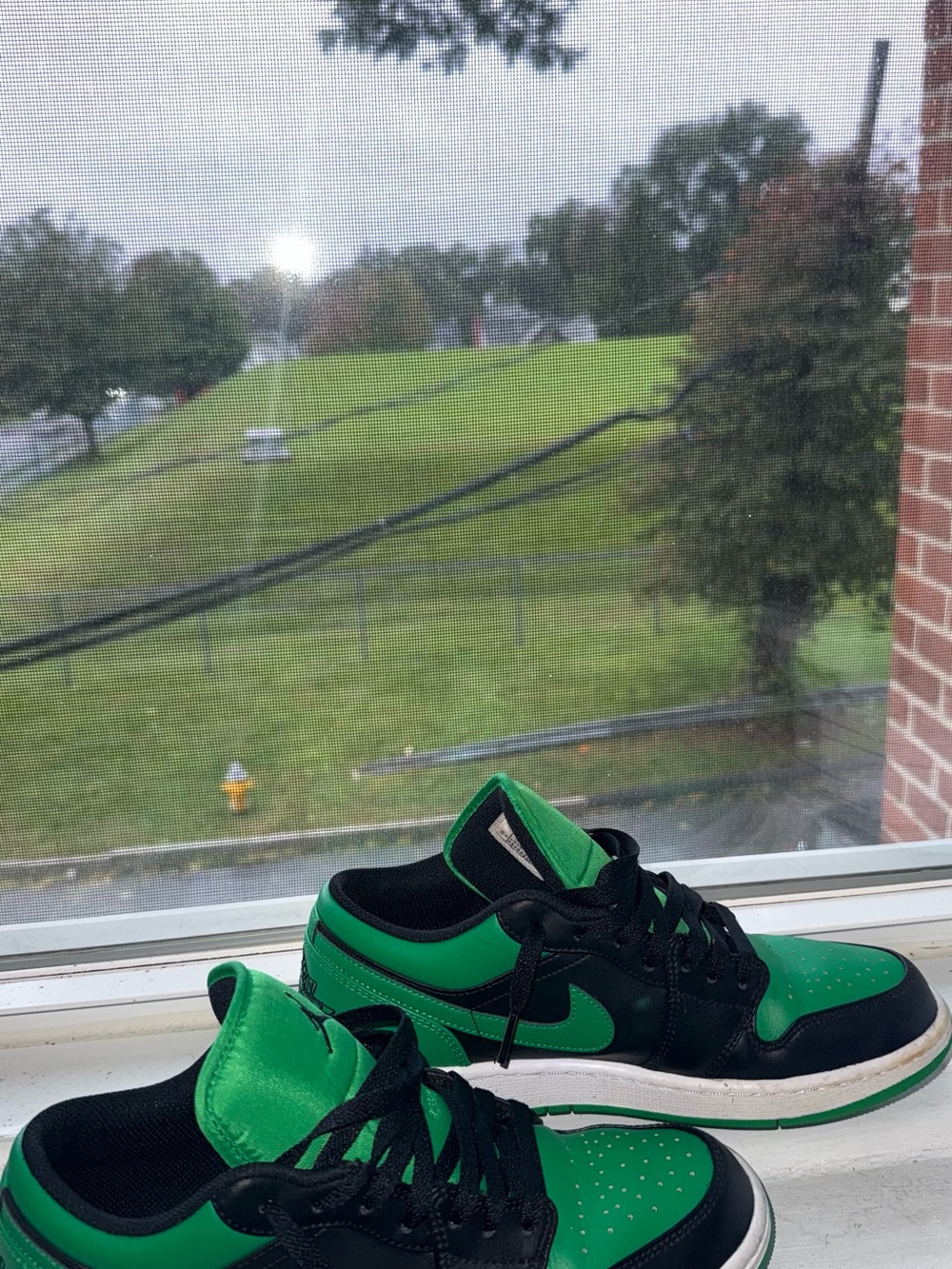 Nike Men’s Jordan 1 Low